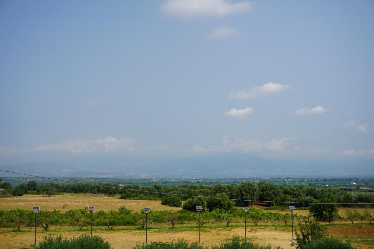 Agriturismo Casacchella 玛丽纳锡巴里 外观 照片
