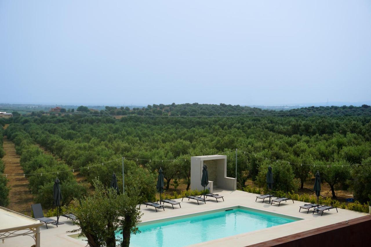 Agriturismo Casacchella 玛丽纳锡巴里 外观 照片